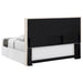 Izzy Eastern / California King Headboard - Orbit Furniture (Richmond,BC)