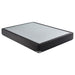 Mercer 9" Twin XL Standard Box Spring Foundation - Orbit Furniture (Richmond,BC)