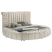 Sonya Eastern King & Queen Bed - Orbit Furniture (Richmond,BC)