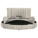 Sonya Eastern King & Queen Bed - Orbit Furniture (Richmond,BC)