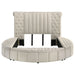 Sonya Eastern King & Queen Bed - Orbit Furniture (Richmond,BC)