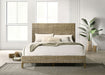 Zyla California King, E.King, & Queen Bed - Orbit Furniture (Richmond,BC)