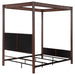 Zimmerlee Eastern King & Queen Bed - Orbit Furniture (Richmond,BC)