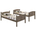 Flynn Bunk Beds - Orbit Furniture (Richmond,BC)