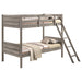 Ryder Bunk Beds - Orbit Furniture (Richmond,BC)