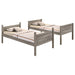 Ryder Bunk Beds - Orbit Furniture (Richmond,BC)