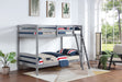Rhea Bunk Bed - Orbit Furniture (Richmond,BC)