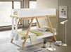 Frankie Bunk Beds - Orbit Furniture (Richmond,BC)