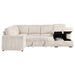 Devonshire Sleeper Sectionals - Orbit Furniture (Richmond,BC)