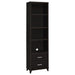 Lewes 2-drawer Media Tower Cappuccino - Orbit Furniture (Richmond,BC)