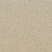 Rayo Accent Chairs - Orbit Furniture (Richmond,BC)