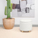 Valia Ottoman - Orbit Furniture (Richmond,BC)