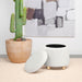 Valia Ottoman - Orbit Furniture (Richmond,BC)