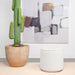 Zena Ottoman - Orbit Furniture (Richmond,BC)