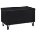 Brixton Storage Benches - Orbit Furniture (Richmond,BC)
