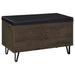 Brixton Storage Benches - Orbit Furniture (Richmond,BC)