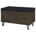Brixton Storage Benches - Orbit Furniture (Richmond,BC)