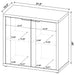 Pepita Accent Cabinet - Orbit Furniture (Richmond,BC)