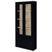 Hawthorne Accent Cabinet - Orbit Furniture (Richmond,BC)