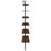 Owens Wall Shelf - Orbit Furniture (Richmond,BC)