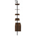 Owens 96-inch 4-shelf Storage Wall Bookshelf Walnut - Orbit Furniture (Richmond,BC)