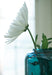 Inisland Vase - Orbit Furniture (Richmond,BC)