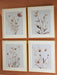 Chettings Wall Art (Set of 4) - Orbit Furniture (Richmond,BC)