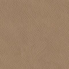 Bandon Oversized Accent Ottoman - Orbit Furniture (Richmond,BC)