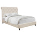 Devon Queen Beds - Orbit Furniture (Richmond,BC)