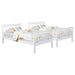 Chapman Bunk Beds - Orbit Furniture (Richmond,BC)