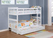 Chapman Bunk Beds - Orbit Furniture (Richmond,BC)