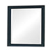 Sandy Beach Vertical Dresser Mirror Black - Orbit Furniture (Richmond,BC)