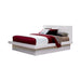 Jessica California King, E.king, & Queen Bed with Storage Headboard Cappuccino - Orbit Furniture (Richmond,BC)