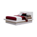 Jessica California King, E.king, & Queen Bed with Storage Headboard Cappuccino - Orbit Furniture (Richmond,BC)