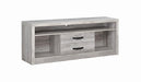 Burke 2-drawer TV Console Grey Driftwood - Orbit Furniture (Richmond,BC)