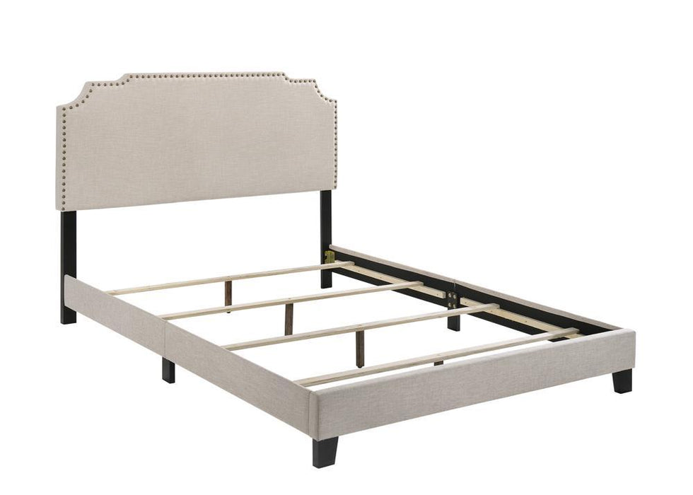Tamarac Upholstered Nailhead Full, Eastern King & Queen Bed Beige & Grey - Orbit Furniture (Richmond,BC)