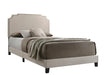 Tamarac Upholstered Nailhead Full, Eastern King & Queen Bed Beige & Grey - Orbit Furniture (Richmond,BC)