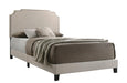 Tamarac Upholstered Nailhead Full, Eastern King & Queen Bed Beige & Grey - Orbit Furniture (Richmond,BC)