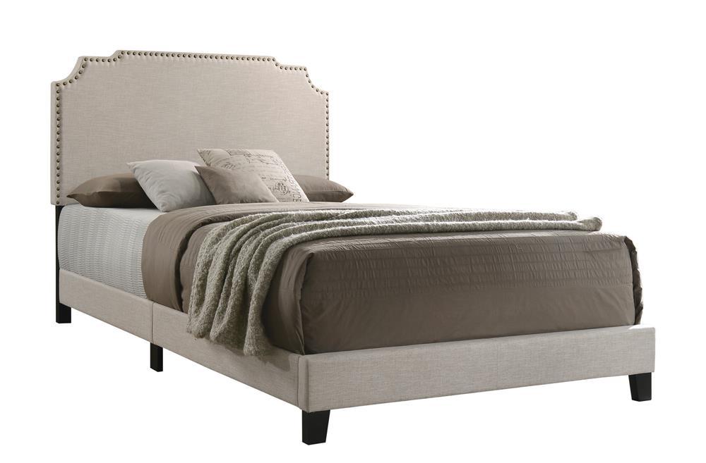 Tamarac Upholstered Nailhead Full, Eastern King & Queen Bed Beige & Grey - Orbit Furniture (Richmond,BC)