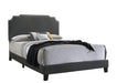 Tamarac Upholstered Nailhead Full, Eastern King & Queen Bed Beige & Grey - Orbit Furniture (Richmond,BC)