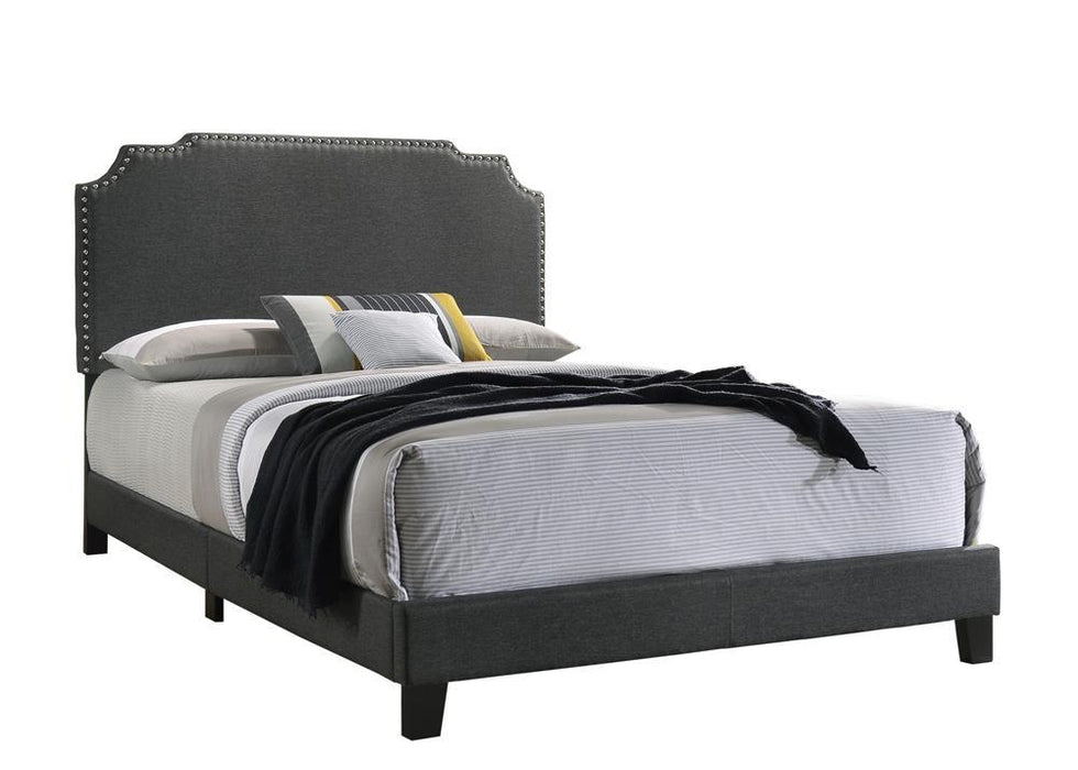 Tamarac Upholstered Nailhead Full, Eastern King & Queen Bed Beige & Grey - Orbit Furniture (Richmond,BC)