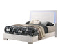 Felicity Full & Twin Panel Bed with LED Lighting Glossy White - Orbit Furniture (Richmond,BC)