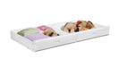 Chapman Storage Trundle White - Orbit Furniture (Richmond,BC)