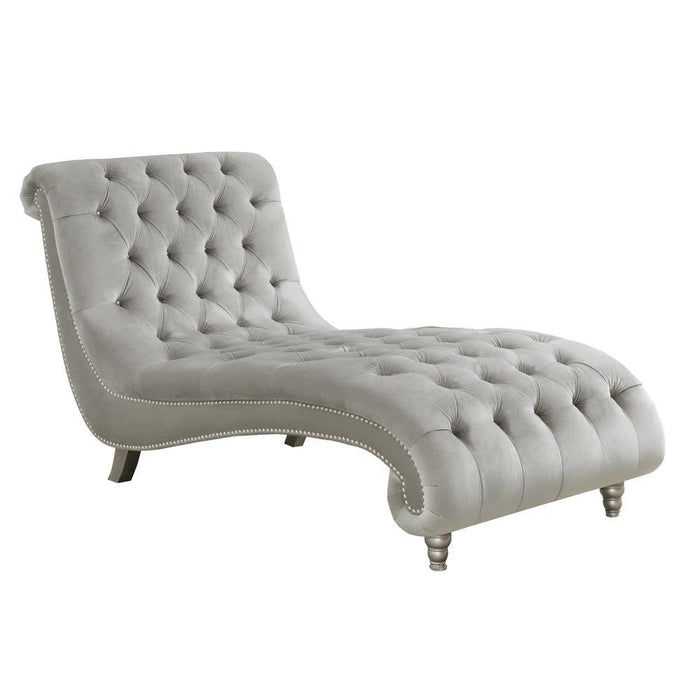 Lydia Tufted Cushion Chaise with Nailhead Trim Grey - Orbit Furniture (Richmond,BC)