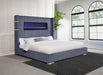 Tisdall California King, E.King & Queen Bed Grey, Black & Queen - Orbit Furniture (Richmond,BC)