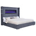 Tisdall California King, E.King & Queen Bed Grey, Black & Queen - Orbit Furniture (Richmond,BC)