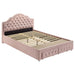 Ashleigh Full & Twin Bed image