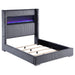 Tisdall California King, E.King & Queen Bed Grey, Black & Queen - Orbit Furniture (Richmond,BC)