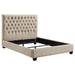 Chloe Queen Beds - Orbit Furniture (Richmond,BC)