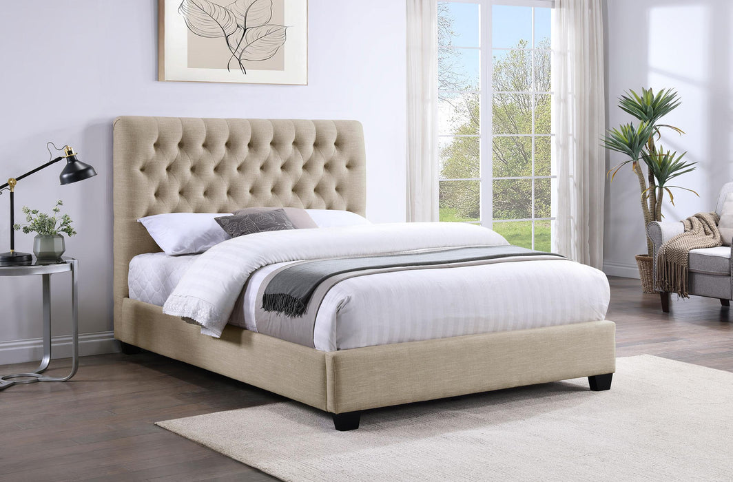 Chloe Queen Beds - Orbit Furniture (Richmond,BC)